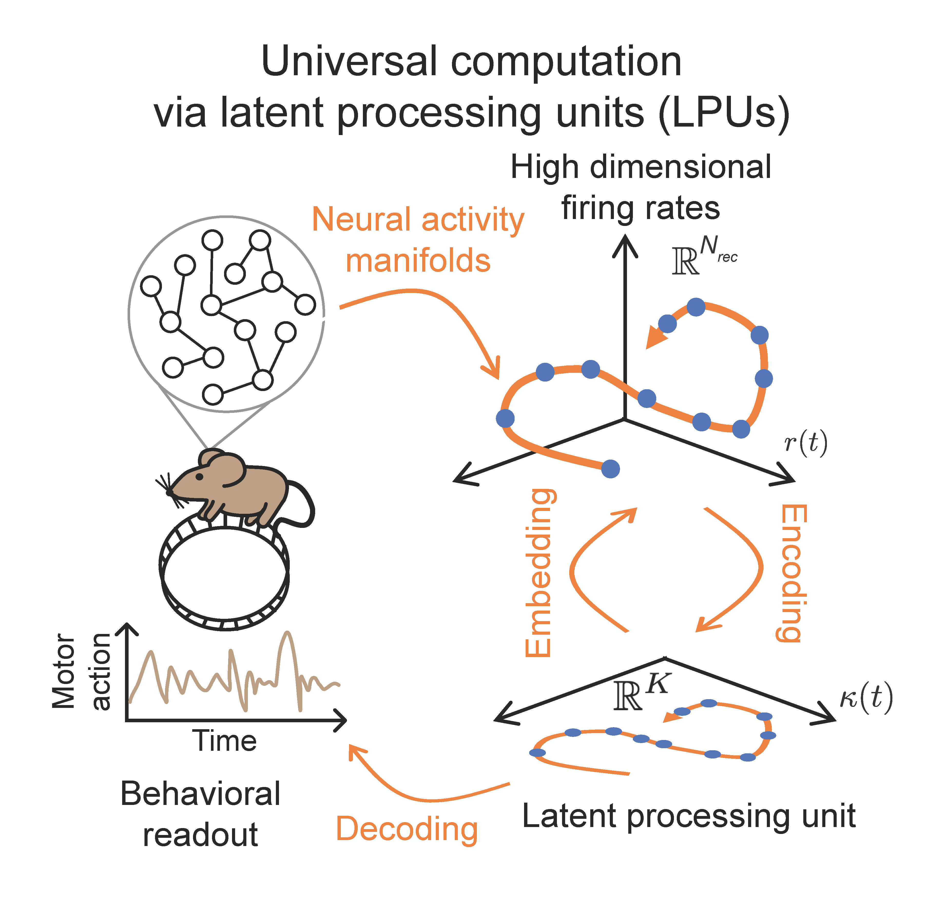 Diagram of a mouse’s neural activity being embedded, encoded, and decoded into a lower-dimensional latent processing unit for behavioral readout.