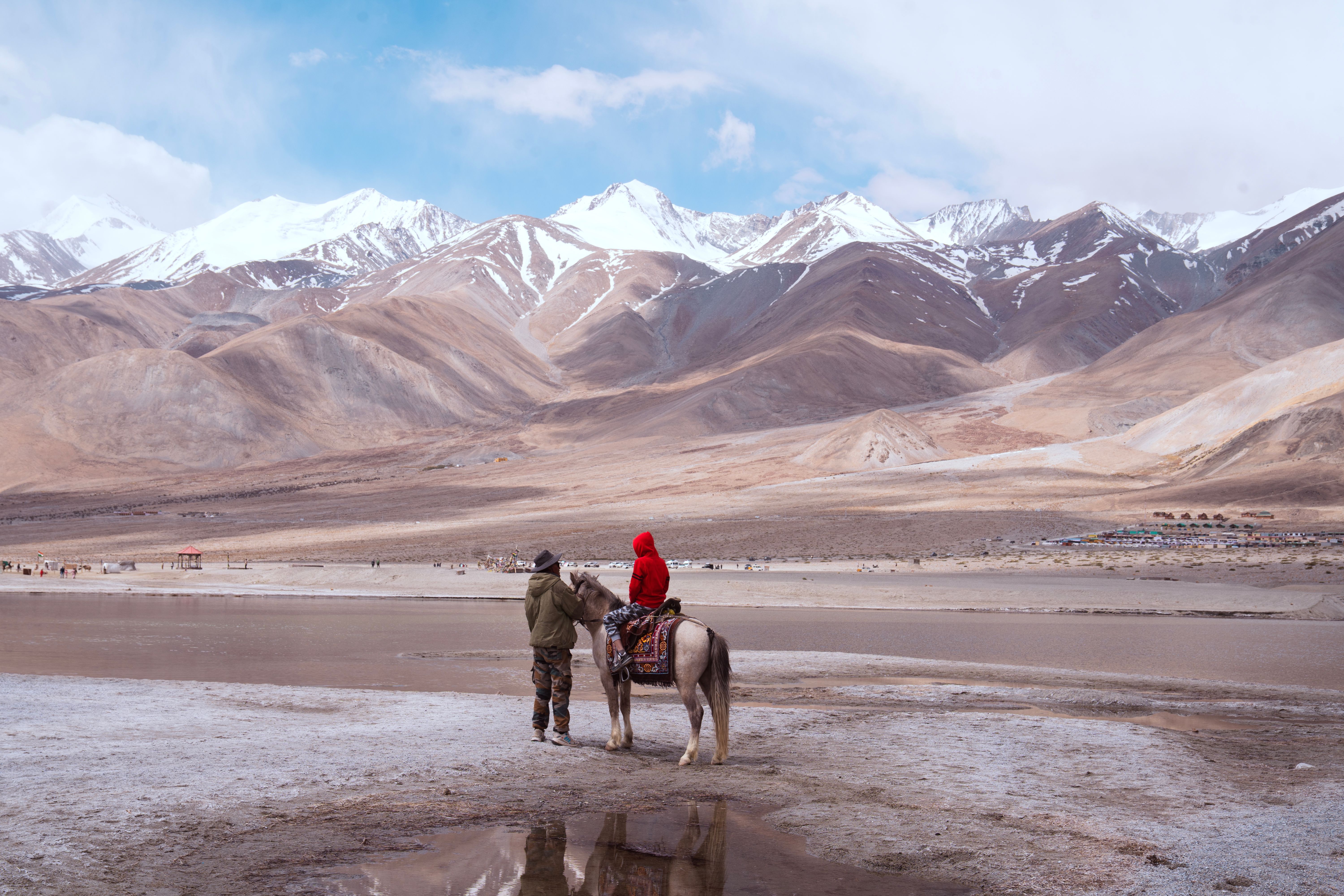 Man riding Horse