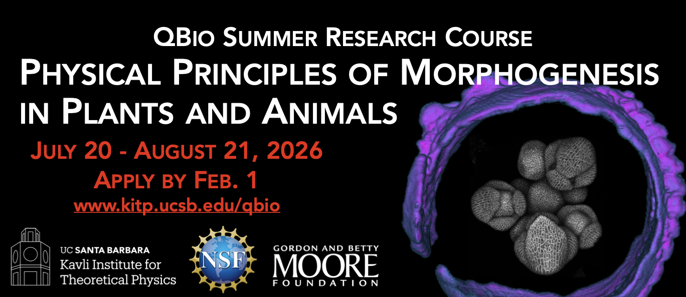 QBio Summer Research Course: Physical Principles of Morphogenesis in Plants and Animals - July 20-August 21, 2026. UC Santa Barbara Kavli Institute for Theoretical Physics. NSF. Gordon and Betty Moore Foundation.