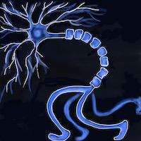 Logo of The Neurophysics of Locomotion