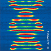 Dynamics and Thermodynamics in Isolated Quantum Systems