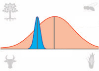 Towards an Integrative View of Adaptation: Bridging Population and Quantitative Genetics 