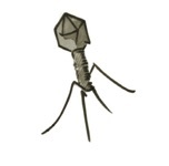 Bacteriophage Forum Logo