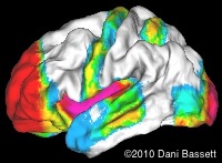 Network Architecture of Brain Structures and Functions