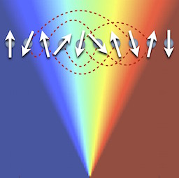 The Dynamics of Quantum Information Logo