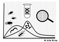 Eco-Evolutionary Dynamics in Nature and the Lab logo