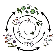 The Ecology and Evolution of Microbial Communities