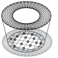 Quantum information, quantum matter, and quantum fields