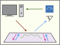 Logo of Noisy Intermediate-Scale Quantum Systems: Advances and Applications