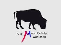 Muon Collider Workshop Logo