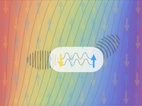 Dynamical Response and Transport in Quantum Magnets