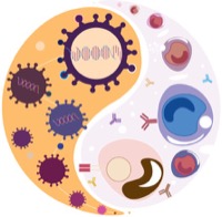 Logo for Interactions and Co-evolution between Viruses and Immune Systems program