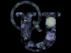 Observing the Quantum Universe