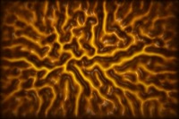 Logo for Instabilities in Soft Mechanics: Shaping Fluids and Solids