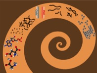 The Physics of the Emergence of Life 