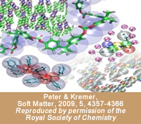 Physical Principles of Multiscale Modeling, Analysis and Simulation in Soft Condensed Matter