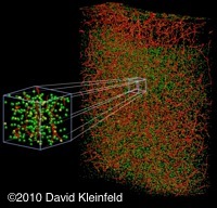 Emerging Techniques in Neuroscience