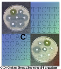 Evolution of Drug Resistance