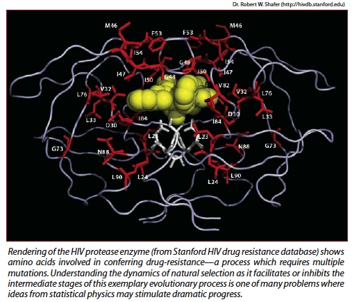 Rendering of the HIV protease enzyme