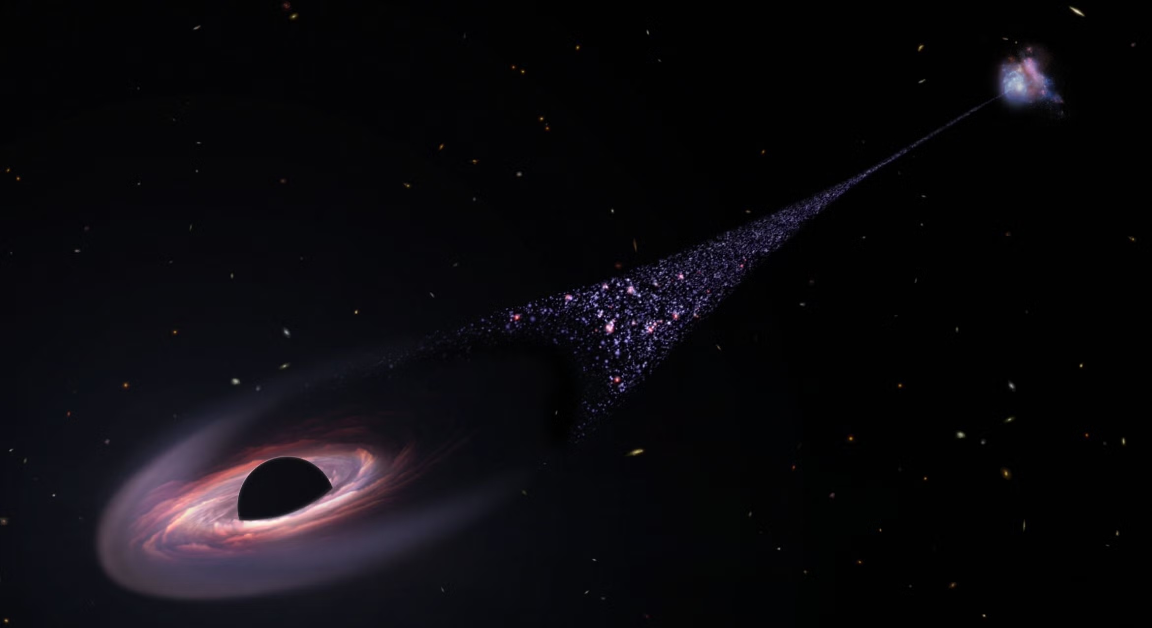 The rogue super-massive black hole compresses gas in its wake, forming a long “contrail” of young, blue stars. This unusual event happened when the universe was approximately half its current age.