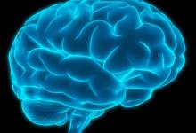 brain-uc-santa-barbara