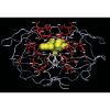 Theoretical-Physics-Biology_1